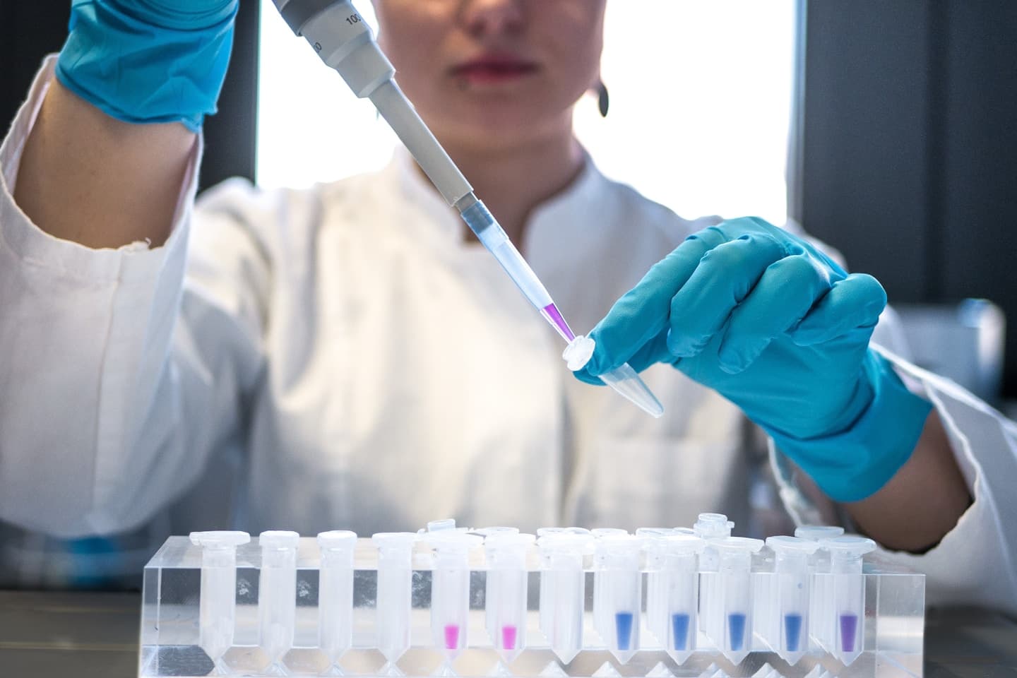 生物医学实验与分子研究